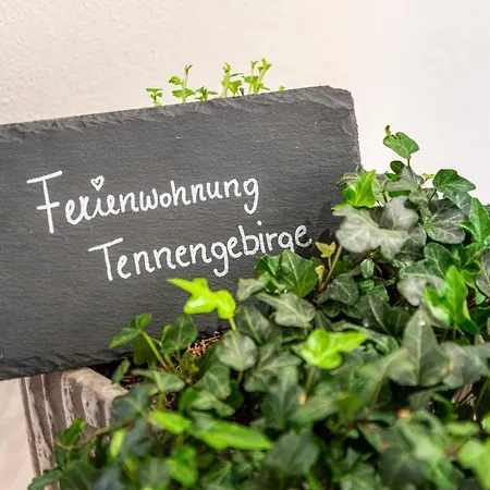 Schintlbauer Appartamento Annaberg im Lammertal